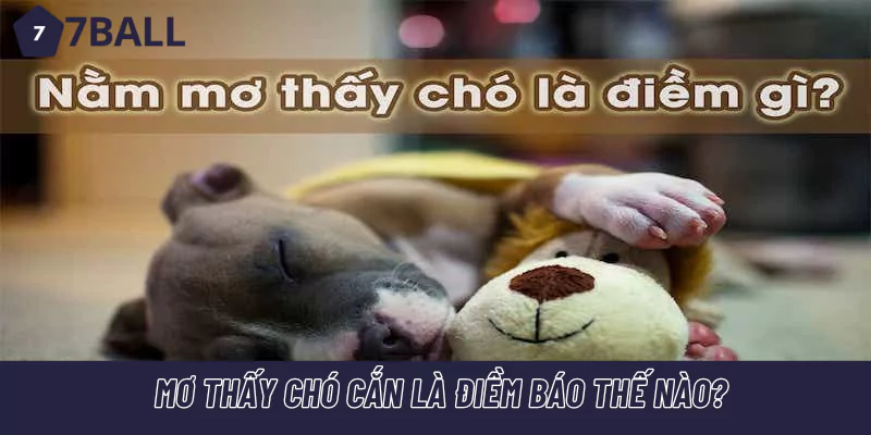 Mơ thấy chó cắn là điềm báo thế nào?