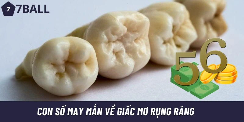 Mơ rụng răng thường còn gợi ý đến những con số may mắn